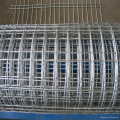 Electro Galvanized Welded Wire Mesh Roll